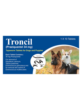 best tapeworm medicine for dogs best tapeworm medicine for dogs