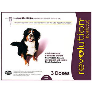Pet Shed - best value for your best friend's monthly dose of Revolution!