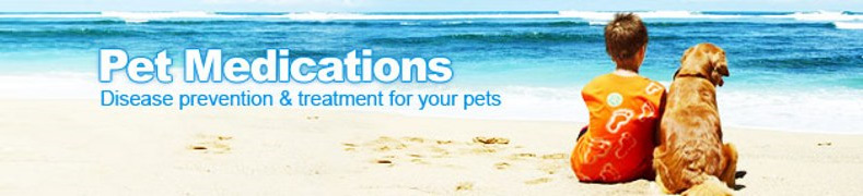 Category Banner