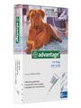Advantage Flea Control