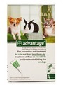 Advantage Flea Control