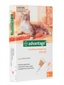 Advantage Flea Control