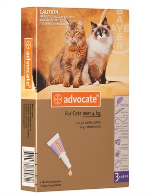 Advantage coupons for cats
