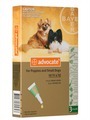 Advantage Multi for Dogs & Cats