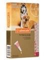 Advantage Multi for Dogs & Cats View 1
