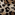 animal-print