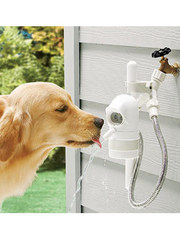 Contech+WaterDog+Automatic+Outdoor+Pet+Drinking+Fountain