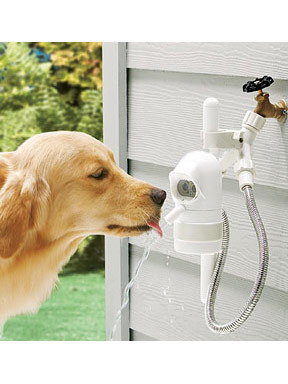 Contech WaterDog Automatic Outdoor Pet Drinking Fountain