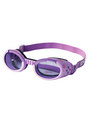 Doggles ILS View 3