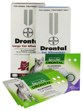 Drontal Allwormer for Cats