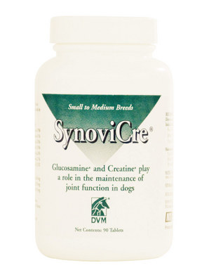 DVM SynoviCre for Small to Medium Breeds (300 mg/250 mg)