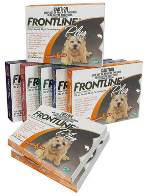 Frontline Plus