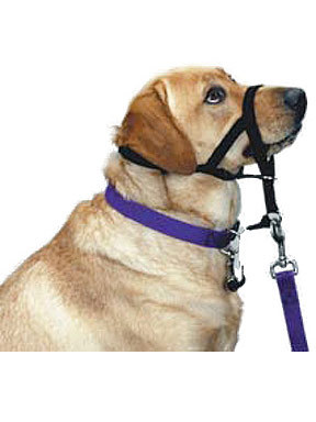 Pet Edge Halti Headcollar