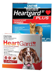 Heartgard Plus