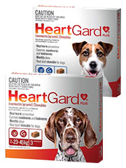 Heartgard+Plus+Chewables