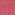 pink-cheetah
