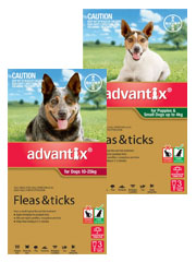 K9 Advantix
