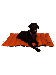 Kakadu Pet Adventure Mat
