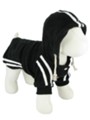 Kakadu Pet Cristina Hooded Sweat Suit