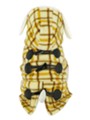 Kakadu Pet Estate Checkered Fleece Jacket