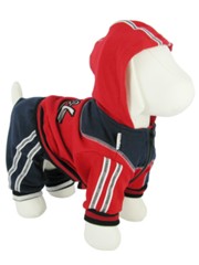 Kakadu Pet Cool Dog Sports Suit
