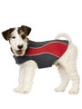 Kakadu Pet Explorer Double Fleece