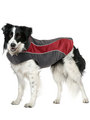 Kakadu Pet Explorer Double Fleece