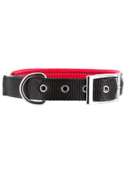 Kakadu Pet Orbit Two Toned Padded Collar