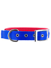 Kakadu Pet Orbit Two Toned Padded Collar
