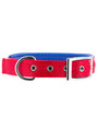 Kakadu Pet Orbit Two Toned Padded Collar