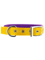 Kakadu Pet Orbit Two Toned Padded Collar