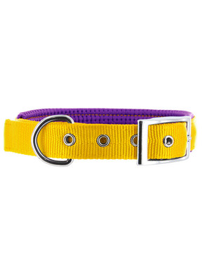 Kakadu Pet Orbit Two Toned Padded Collar