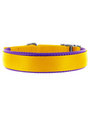 Kakadu Pet Orbit Two Toned Padded Collar