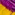 purple-with-yellow-trim