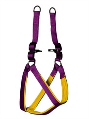 Kakadu Pet Orbit Two Toned Adjustable Padded Harness