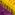 yellow-with-purple-trim