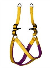 Kakadu Pet Orbit Two Toned Adjustable Padded Harness