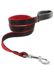 Kakadu Pet Orbit Two Toned Padded Lead