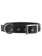 Kakadu Pet Galaxy Plain Padded Collar