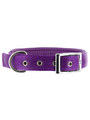Kakadu Pet Galaxy Plain Padded Collar