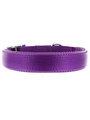 Kakadu Pet Galaxy Plain Padded Collar