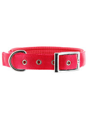 Kakadu Pet Galaxy Plain Padded Collar