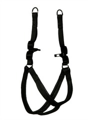 Kakadu Pet Galaxy Plain Padded Adjustable Harness
