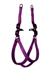 Kakadu Pet Galaxy Plain Padded Adjustable Harness
