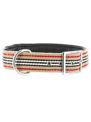 Kakadu Pet Angus Padded Collar