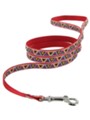Kakadu Pet Aztec Lead