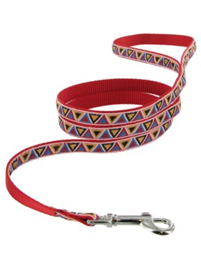 Kakadu Pet Aztec Lead