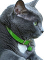 Kakadu Pet Hollywood Leather Collar with Diamonds View 2