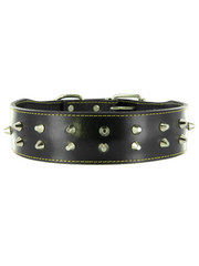 Kakadu Pet Boxer Studded Leather Collar