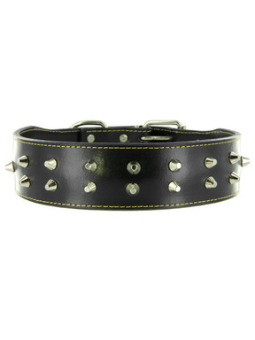 Kakadu Pet Boxer Studded Leather Collar